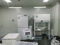 pcr实验室工程